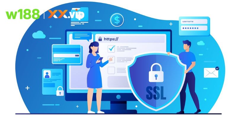 Hệ thống bảo mật dữ liệu và quy trình bảo vệ thông tin người dùng