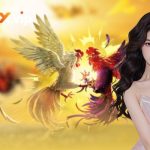 Đá Gà Đòn Thomo W188 - Bí Quyết Chọn Chiến Kê Lì Đòn Nhất